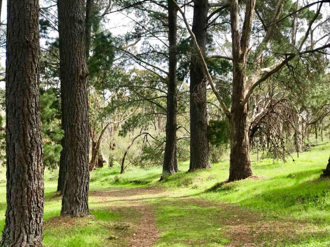 Отель Adelaide Hills Escape Woodside Экстерьер фото