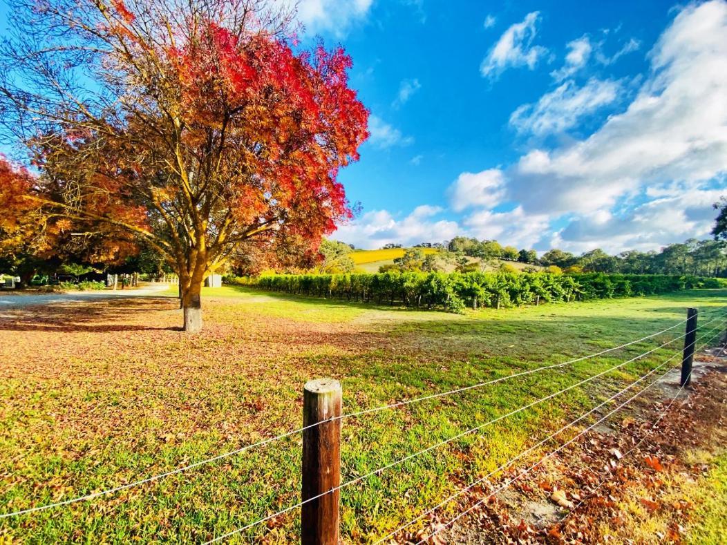 Отель Adelaide Hills Escape Woodside Экстерьер фото