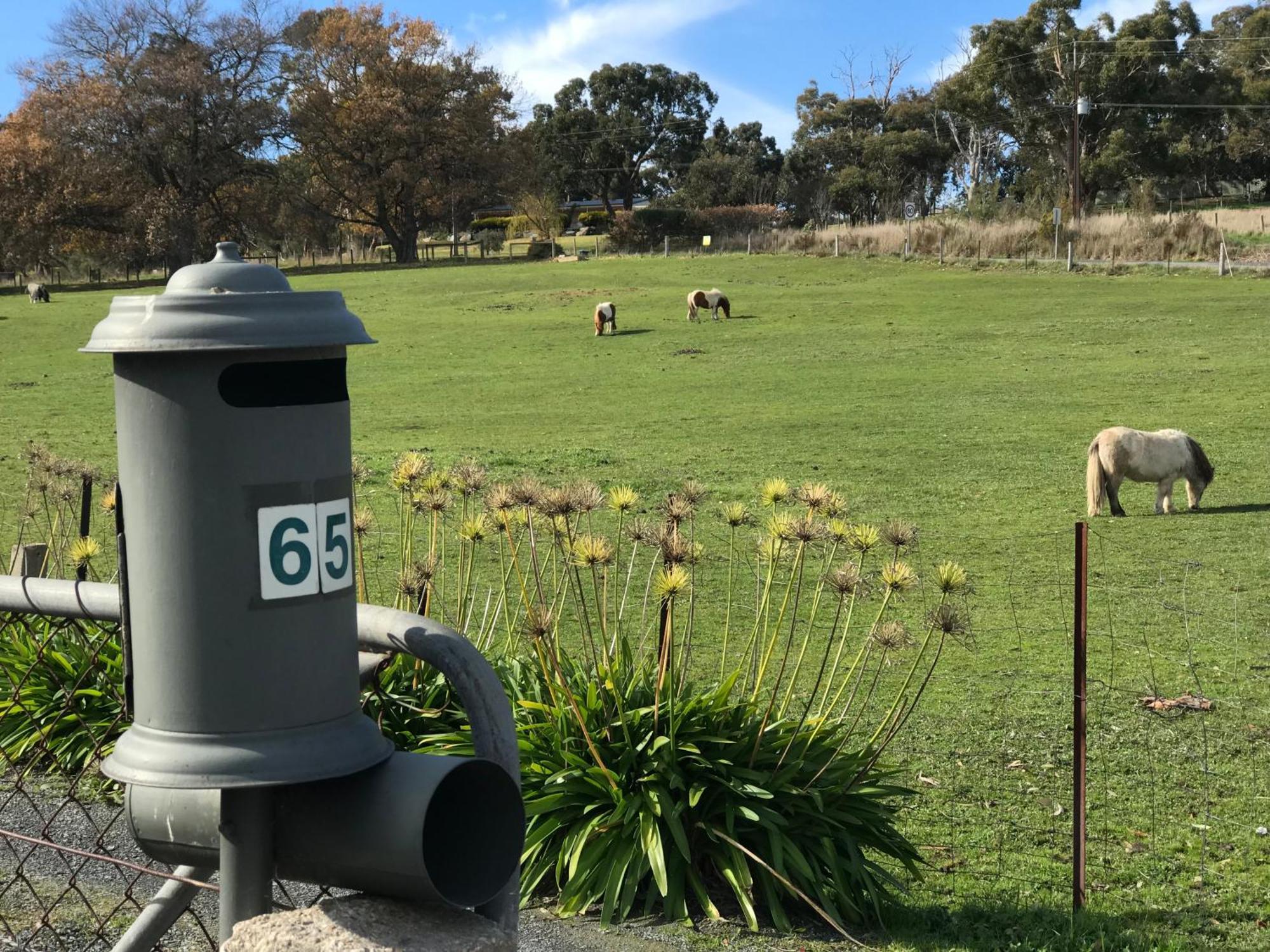 Отель Adelaide Hills Escape Woodside Экстерьер фото