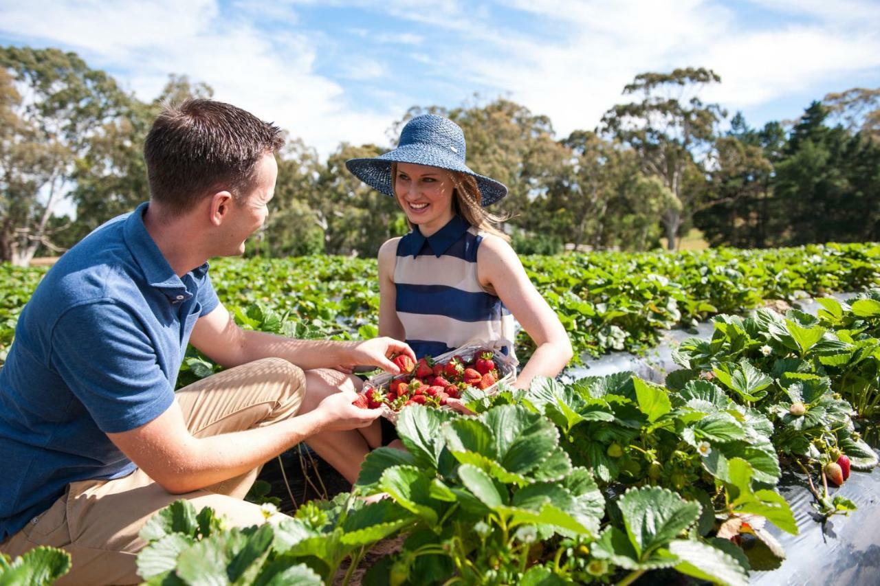 Отель Adelaide Hills Escape Woodside Экстерьер фото