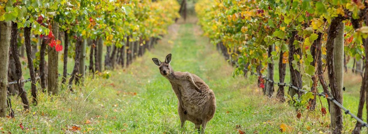 Отель Adelaide Hills Escape Woodside Экстерьер фото